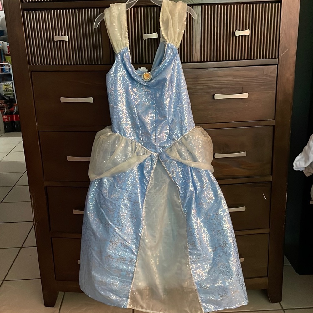 Disney parks Cinderella costume/dress! Size XL 14